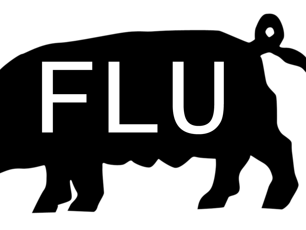 swine_flu_2
