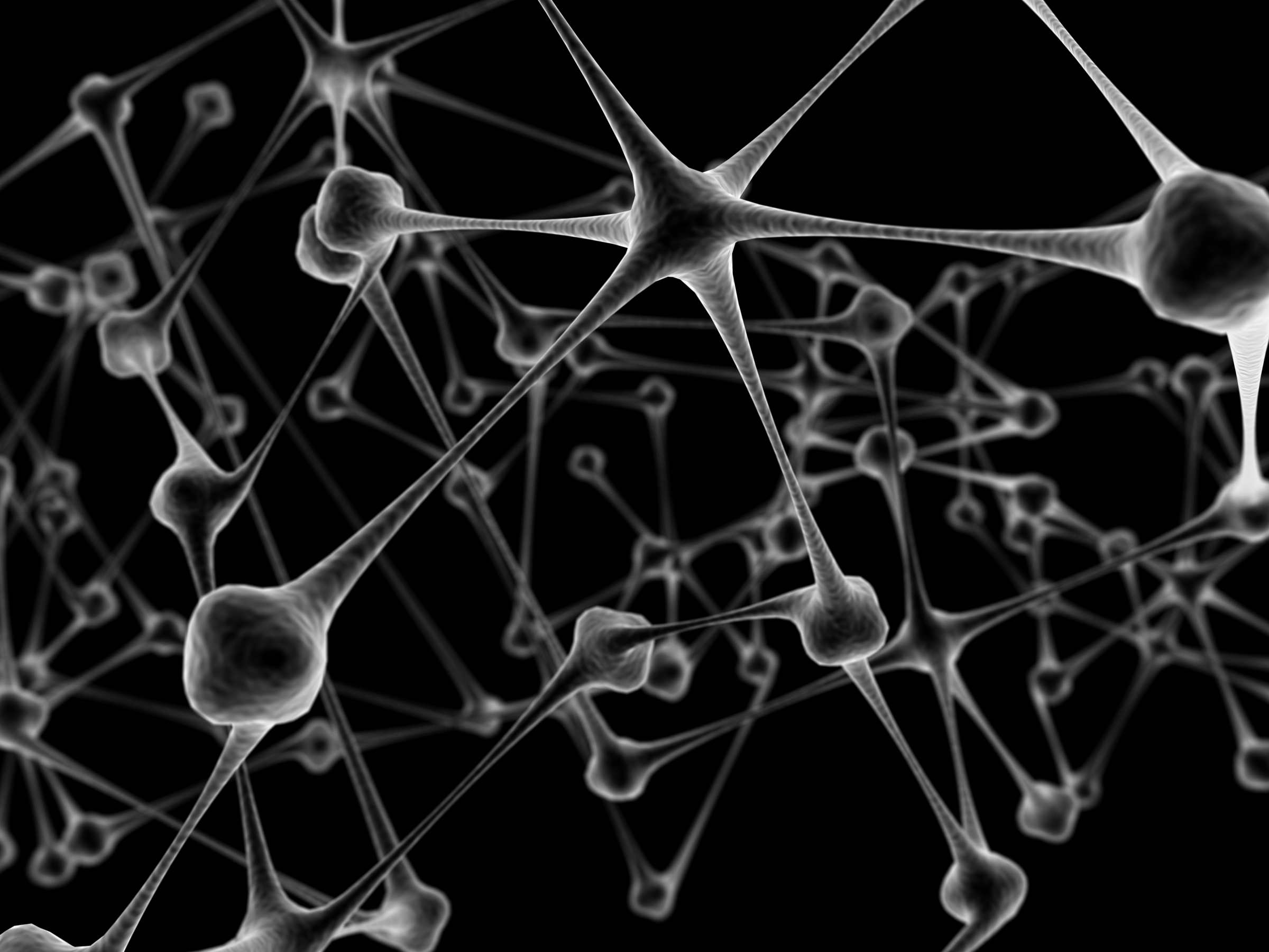 network_neurons
