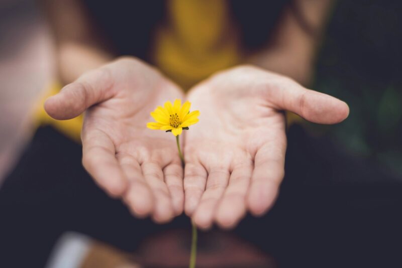 selective focus photography of woman holding yellow petaled flowers: Communicating the value of L&D