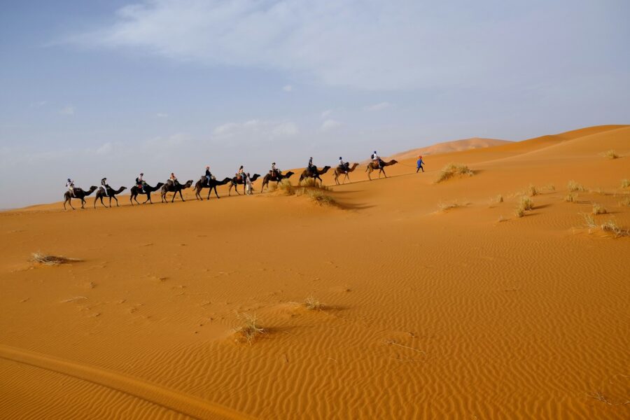 person riding on camel: managers must lead their people