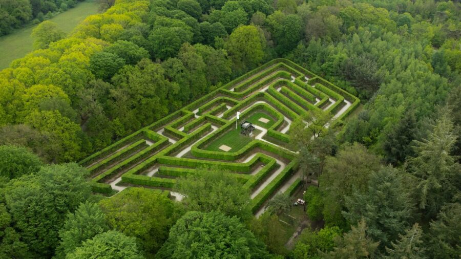 aerial view of green trees during daytime, skills personalisation