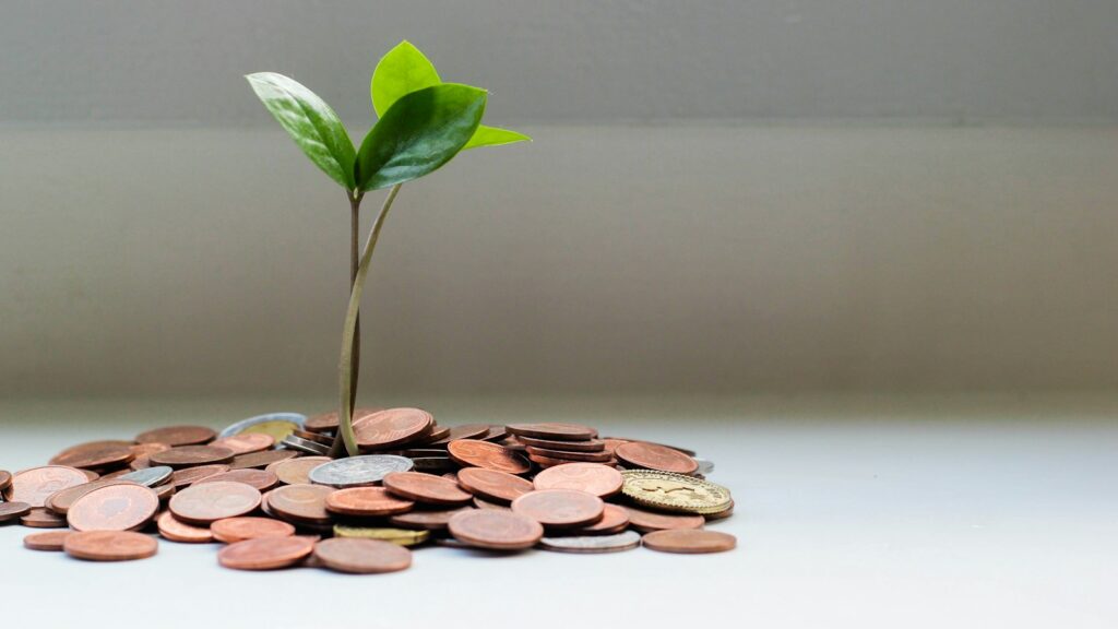 green plant on brown round coins