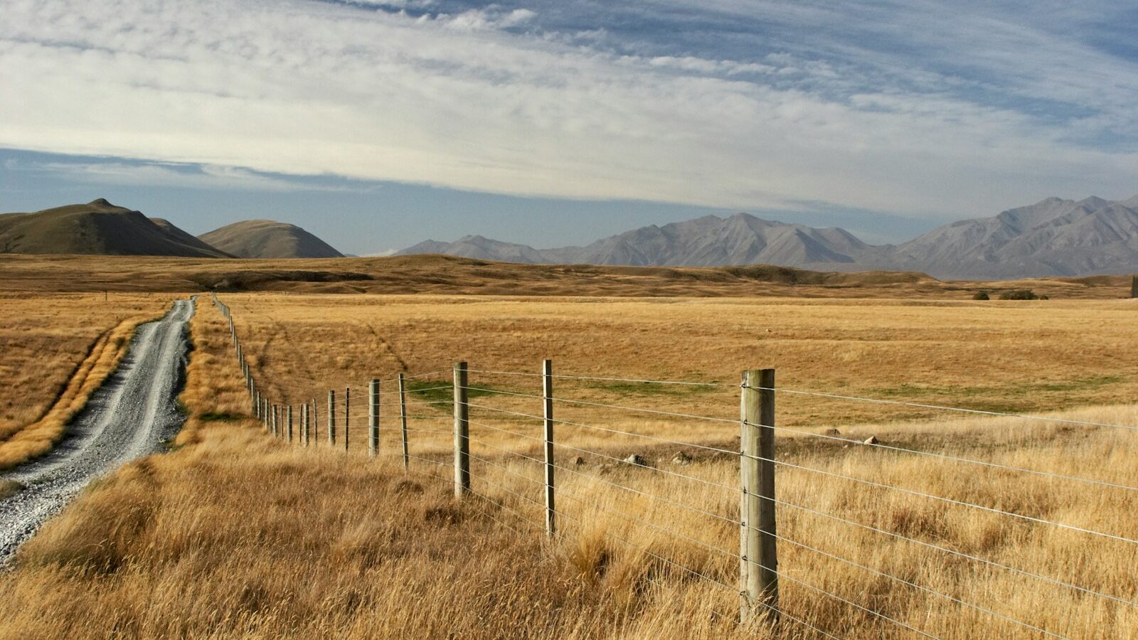 gray steel fence on brown grass field, boundaryless performance