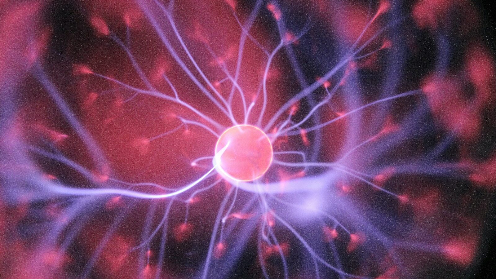 purple and pink plasma ball