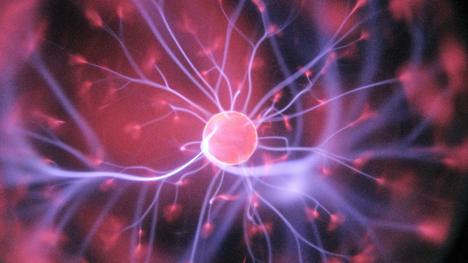purple and pink plasma ball, depicting AI learning anxiety