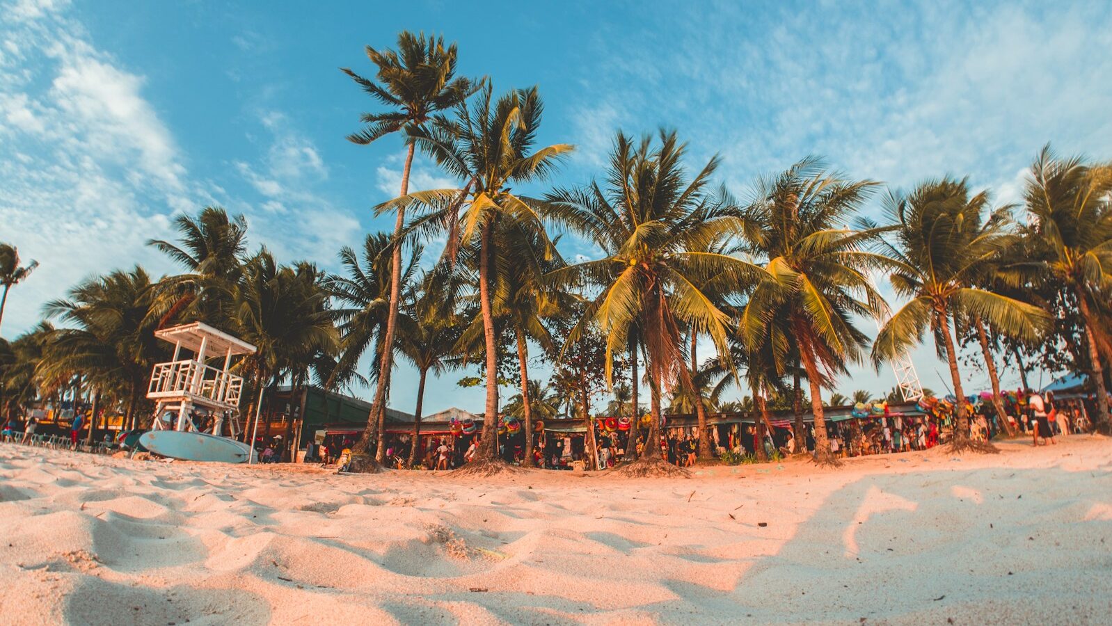 green coconut trees under by cirrus clouds