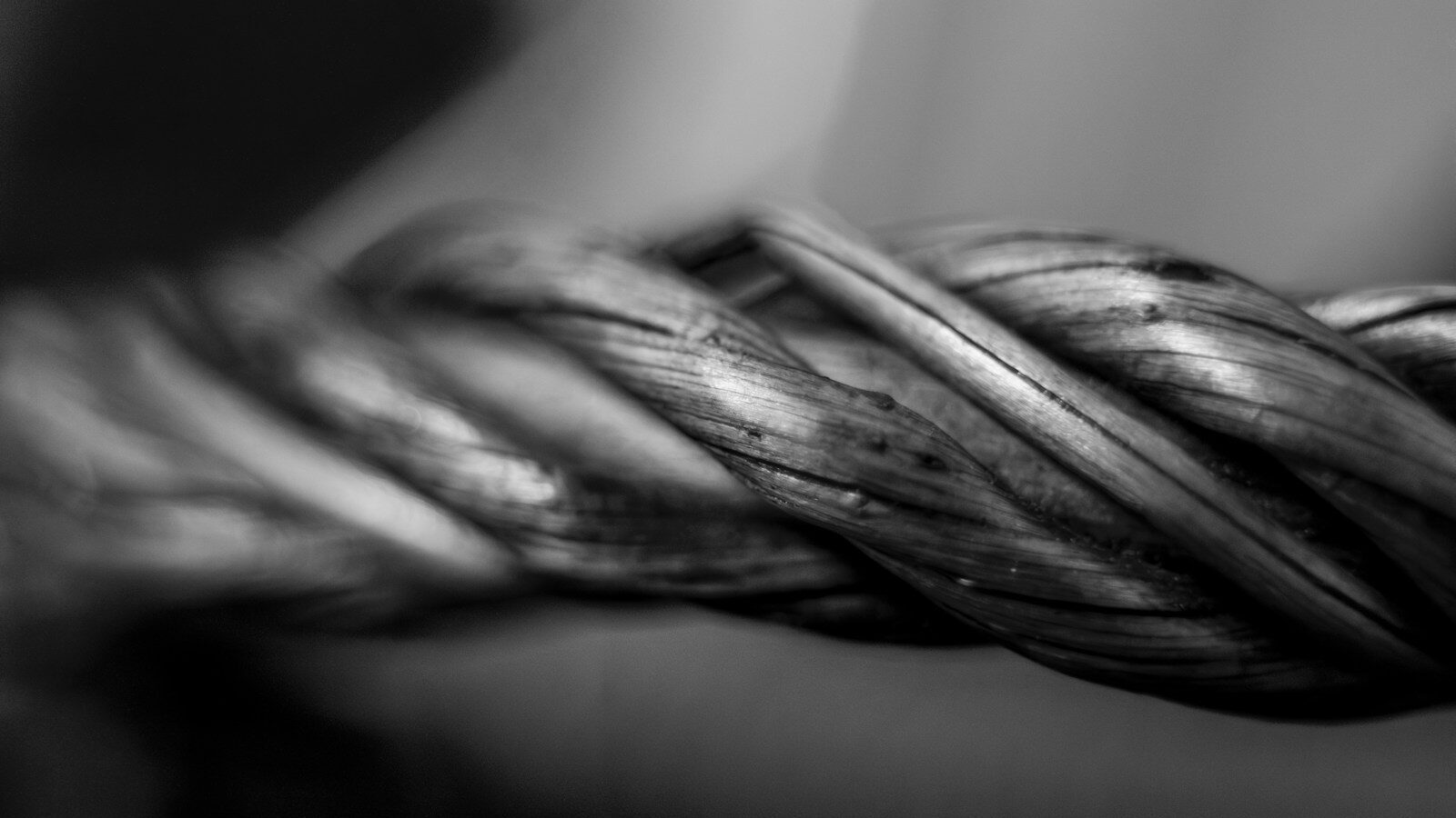 Why L&D must build stronger trainer capability now